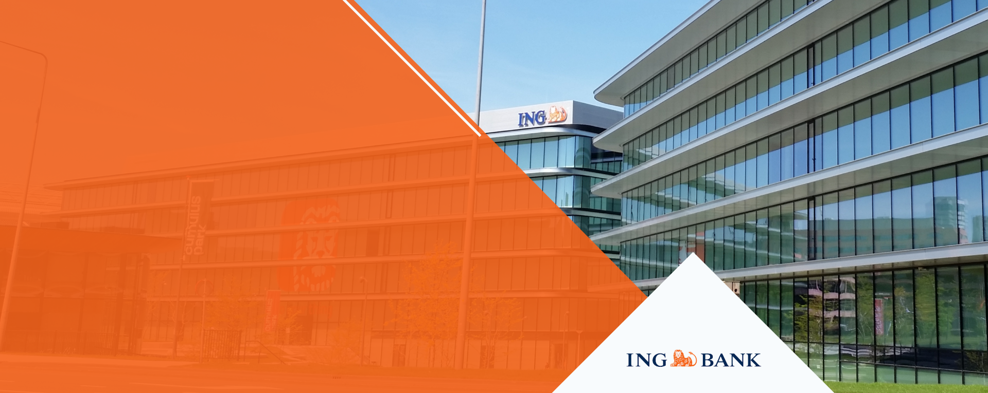 ING Bank'ın Tercihi